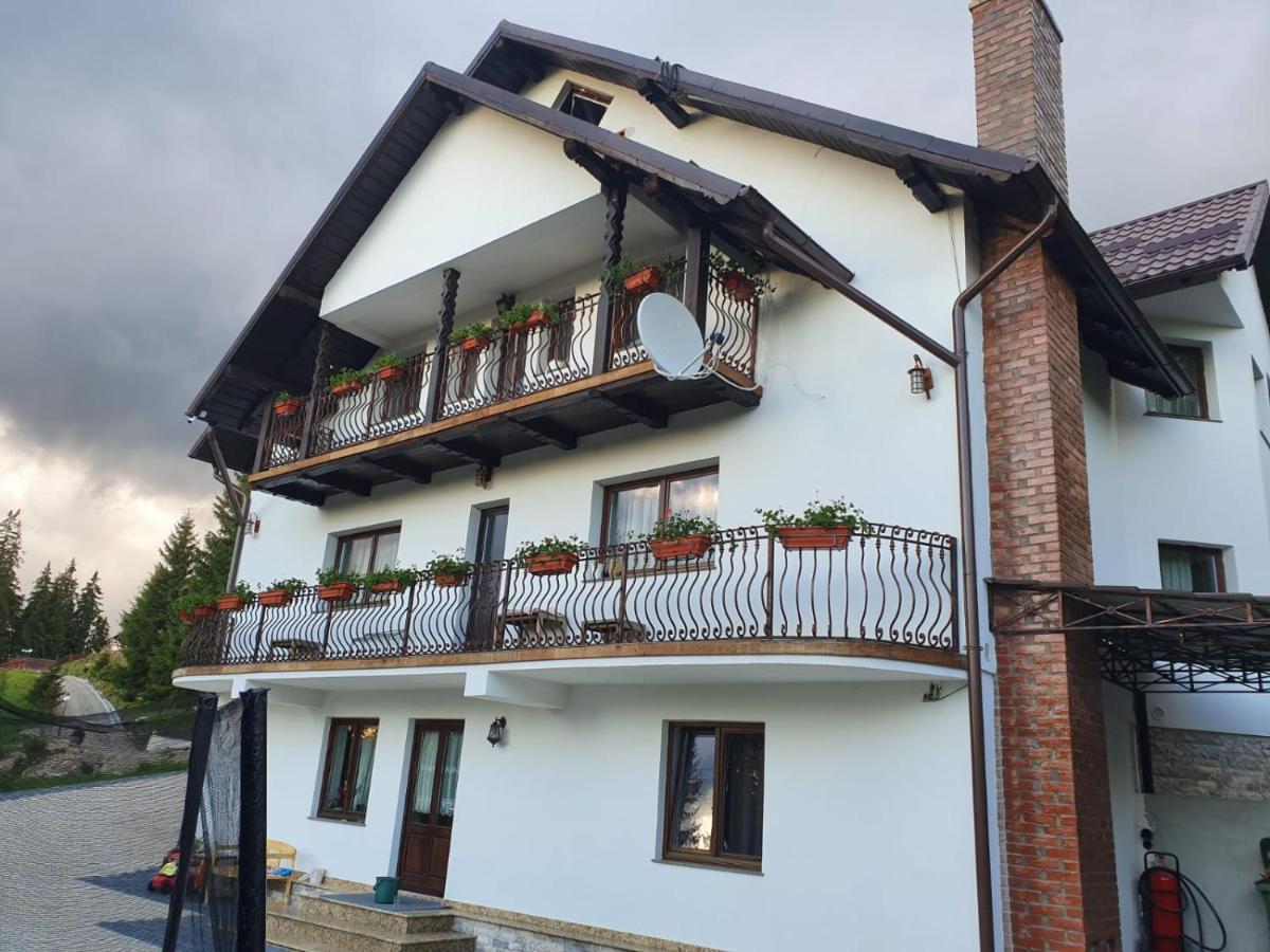 ホテル Casa Sofia Bucovina Ciumirna エクステリア 写真
