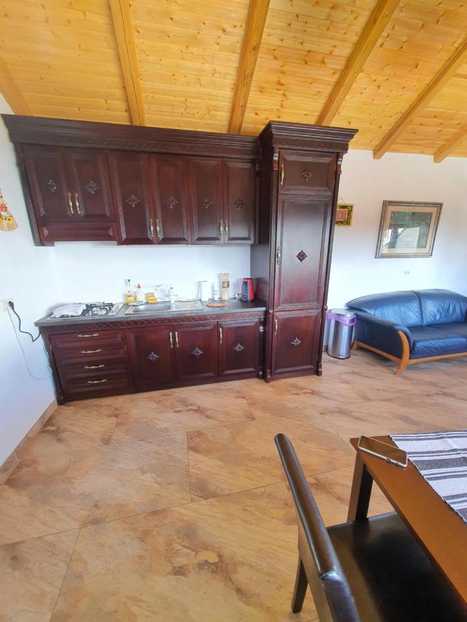 ホテル Casa Sofia Bucovina Ciumirna エクステリア 写真