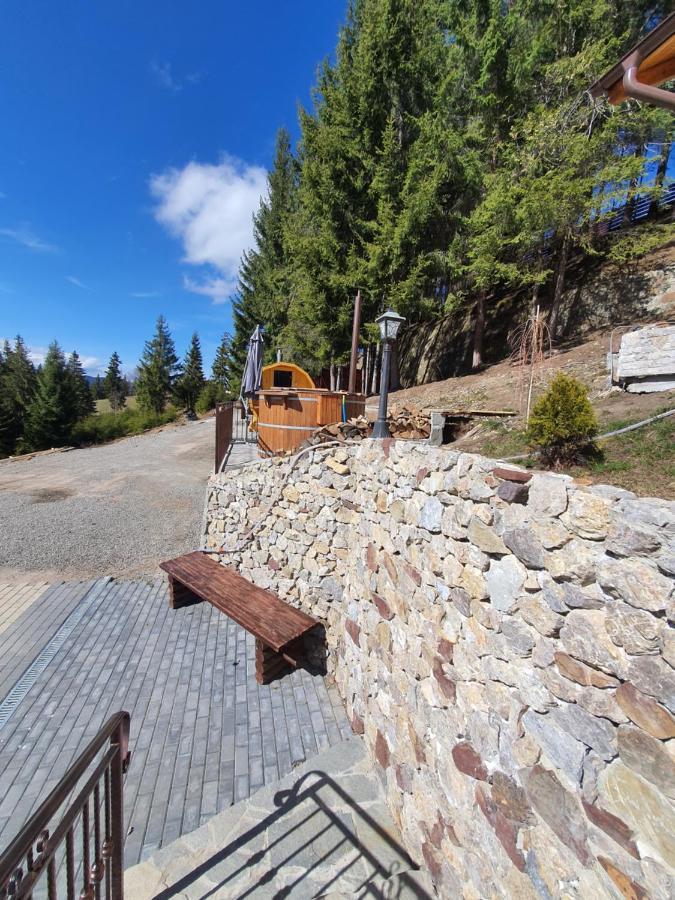 ホテル Casa Sofia Bucovina Ciumirna エクステリア 写真